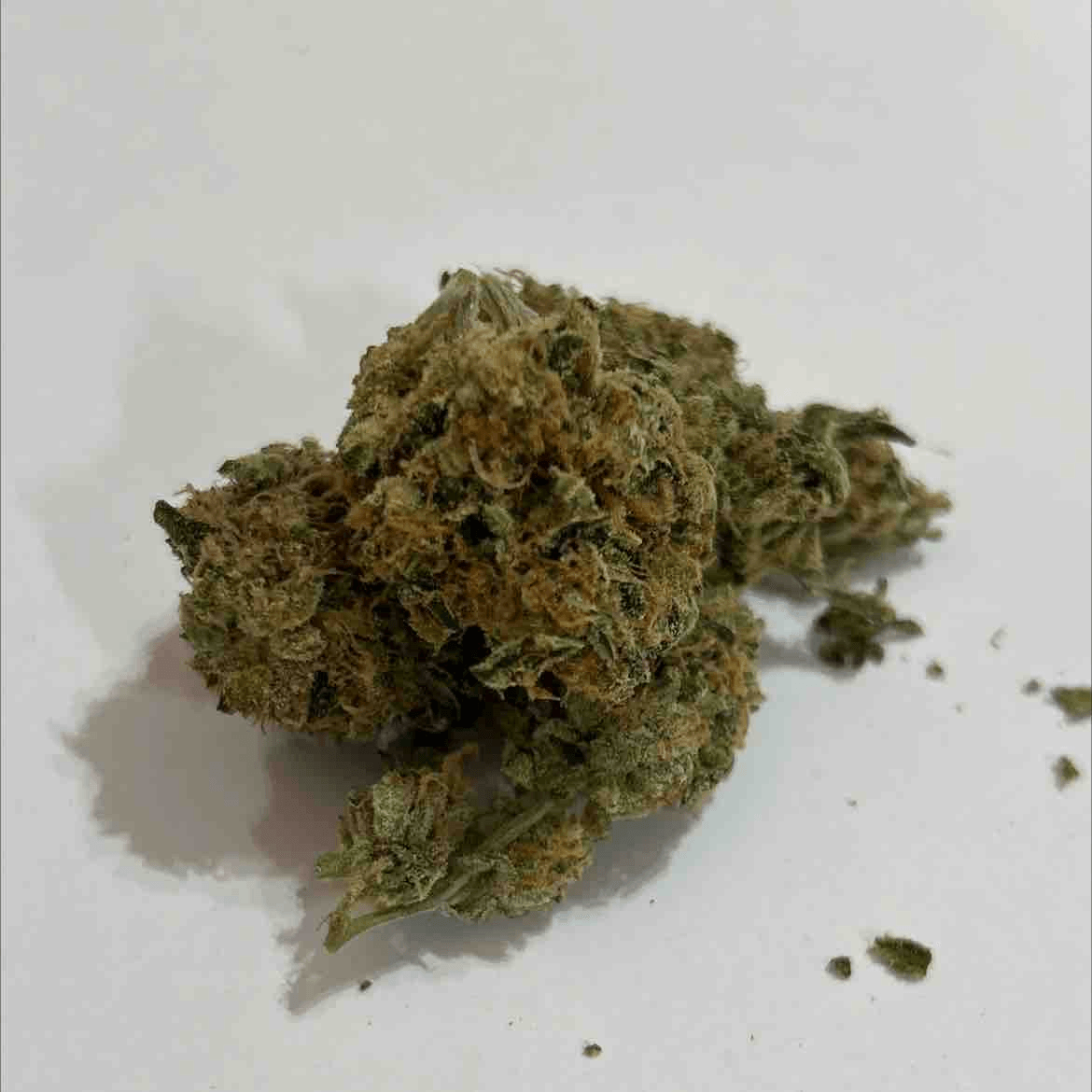 Cali-a #12