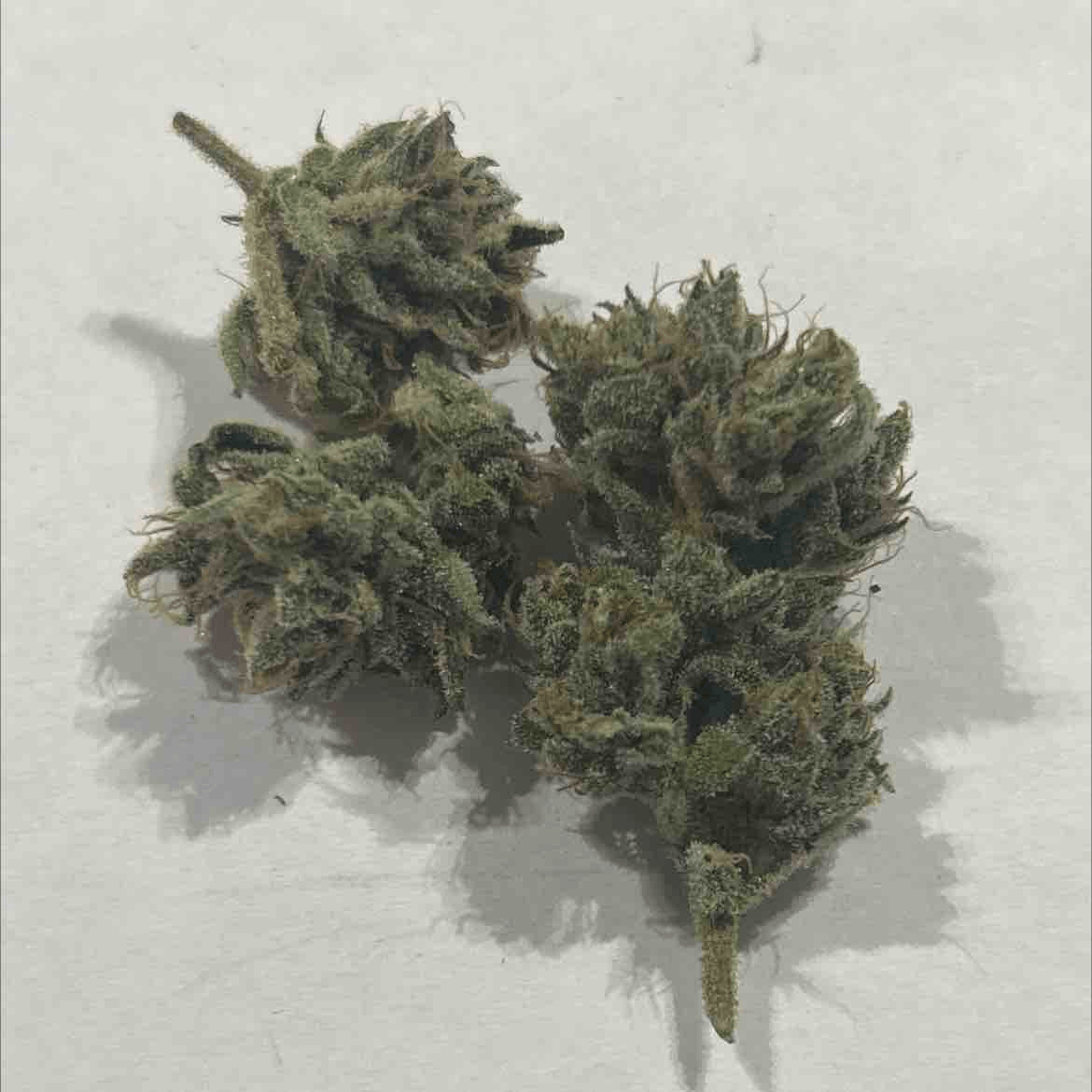 G13 Haze