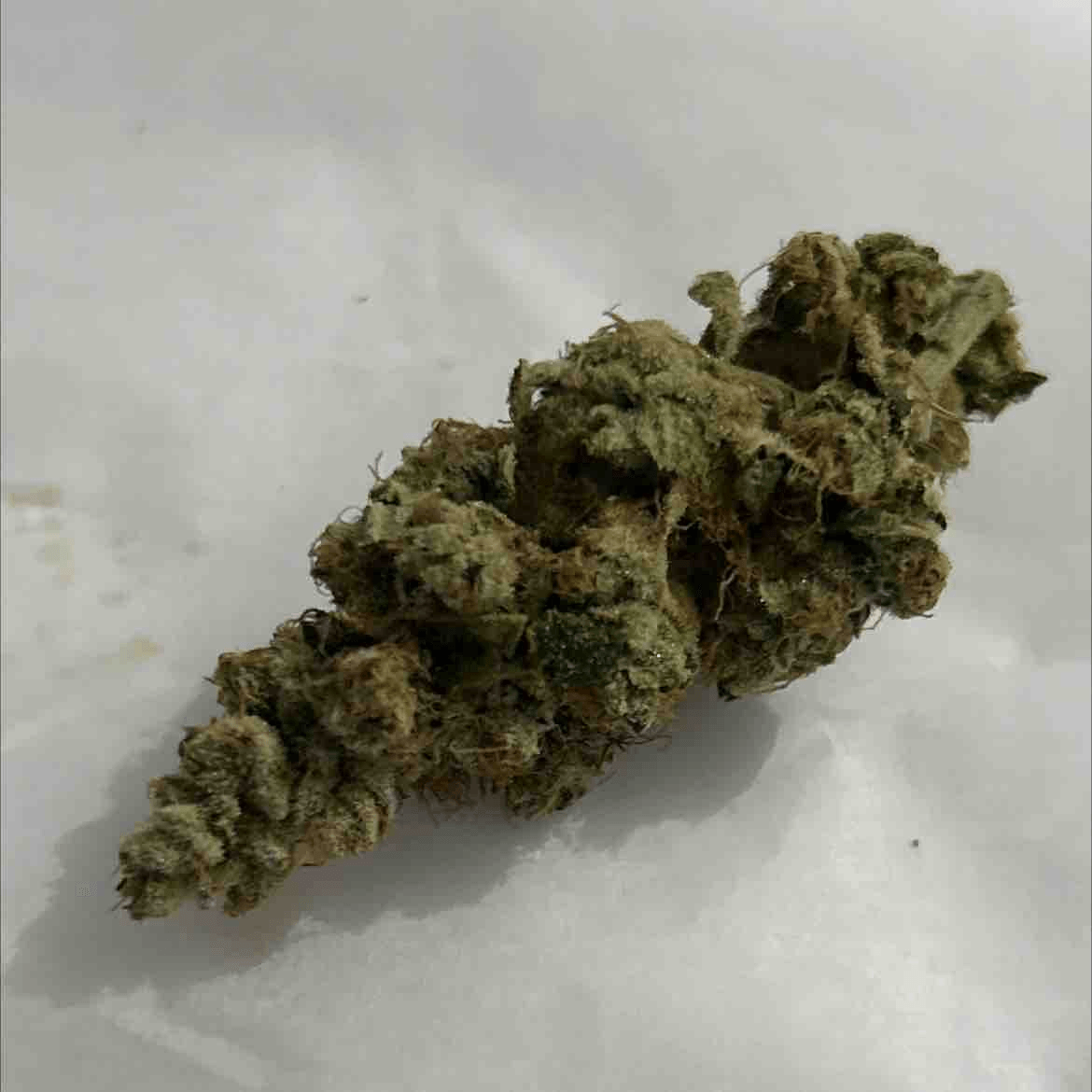 New Cheech