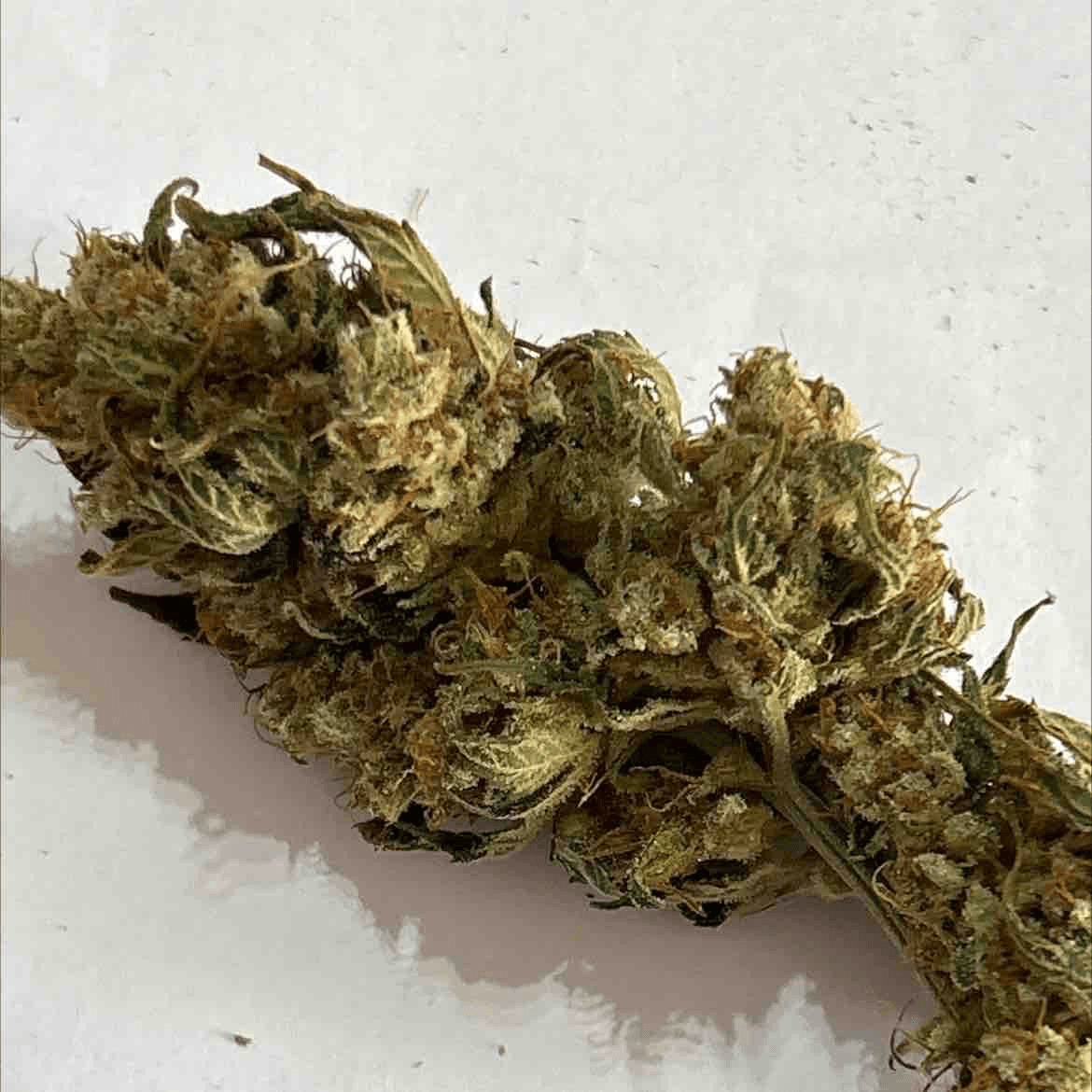 Sweet Cheese